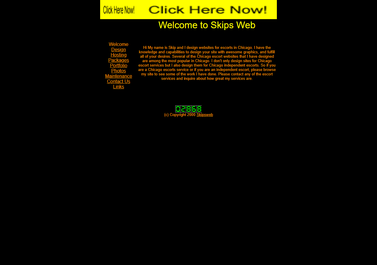 Screenshot of http://www.skipsweb.com/ as archived on 2002-04-02: A full agency site appears.